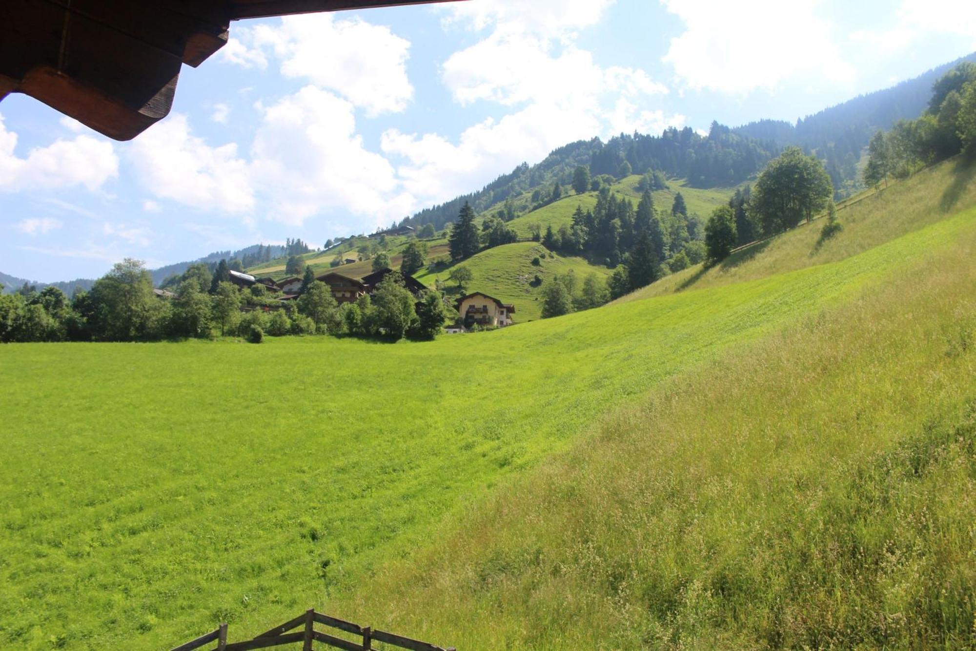 Chalet Rehlein Villa Гросарл Стая снимка